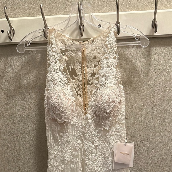 Pronovias EOS Lace Wedding Dress - Picture 4 of 16